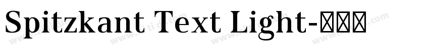 Spitzkant Text Light字体转换